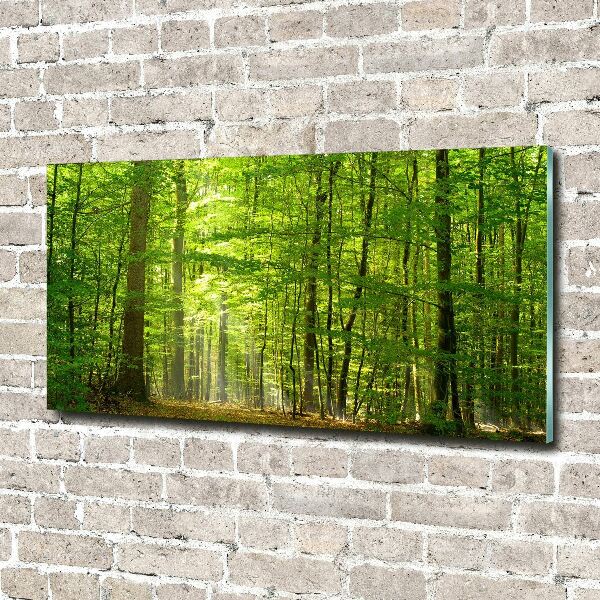 Acrylglas-Druck Laubwald