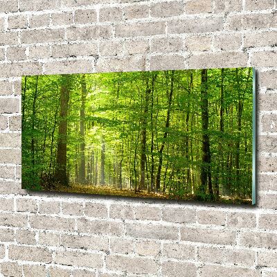Acrylglas-Druck Laubwald