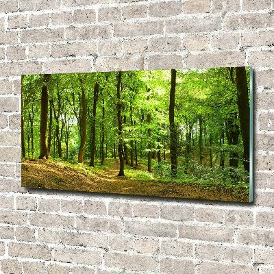 Acrylbild Fotodruck Waldweg