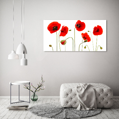 Foto auf Acryl Mohnblumen