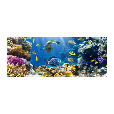 Acrylglas-Druck Korallenriff