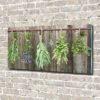 Foto auf Acryl Kräuter an einer Schnur