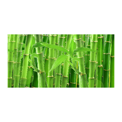 Bild auf Acrylglas Bambus