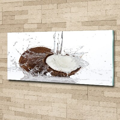 Acrylbild Fotodruck Kokosnuss