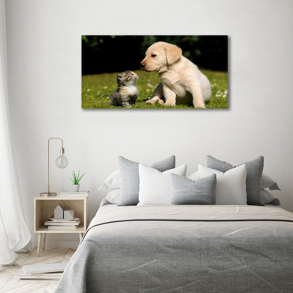Foto auf Acryl Hund und Katze auf der Wiese