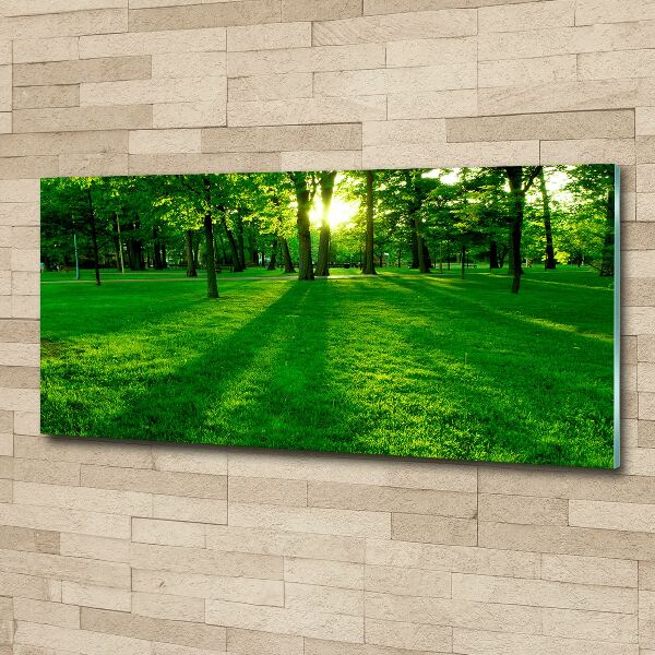 Acrylbild Fotodruck Gras im Park