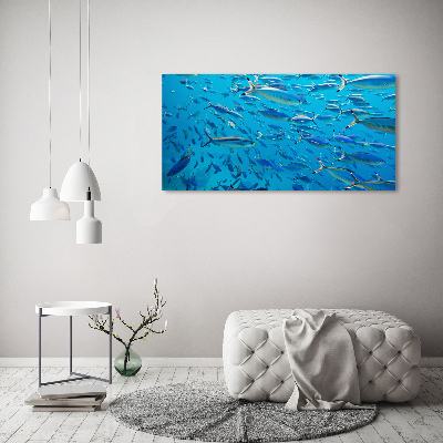 Bild auf Acrylglas Korallenfische
