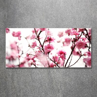 Acrylbild Fotodruck Pflaumenblüte