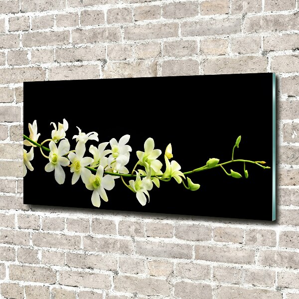 Acrylglas-Druck Orchidee