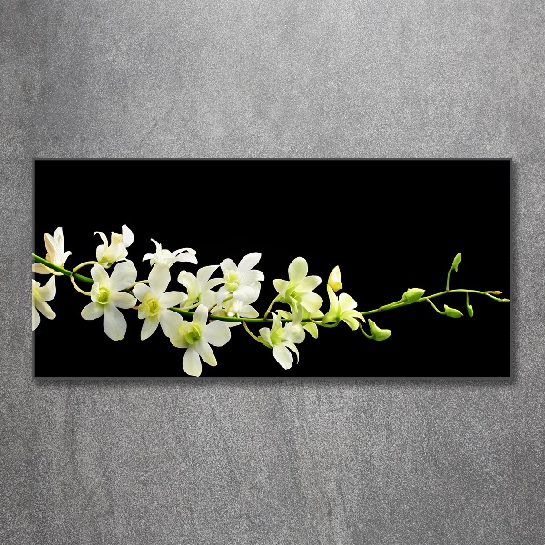 Acrylglas-Druck Orchidee