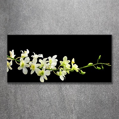 Acrylglas-Druck Orchidee