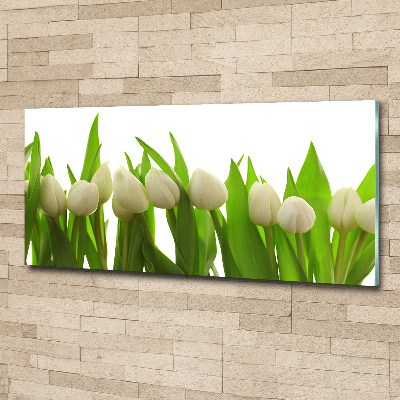 Bild auf Acrylglas Weiße Tulpen