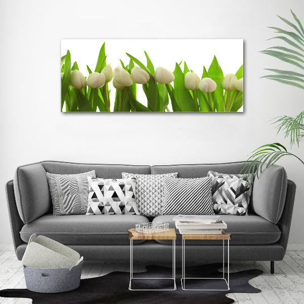 Bild auf Acrylglas Weiße Tulpen
