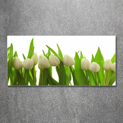 Bild auf Acrylglas Weiße Tulpen