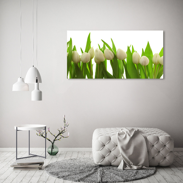 Bild auf Acrylglas Weiße Tulpen