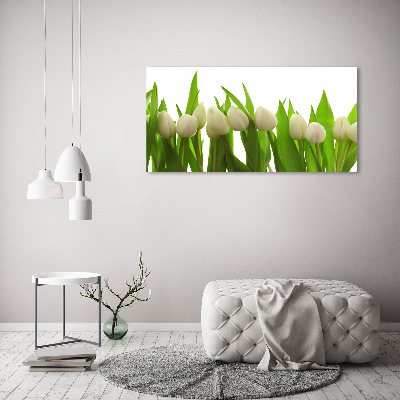 Bild auf Acrylglas Weiße Tulpen