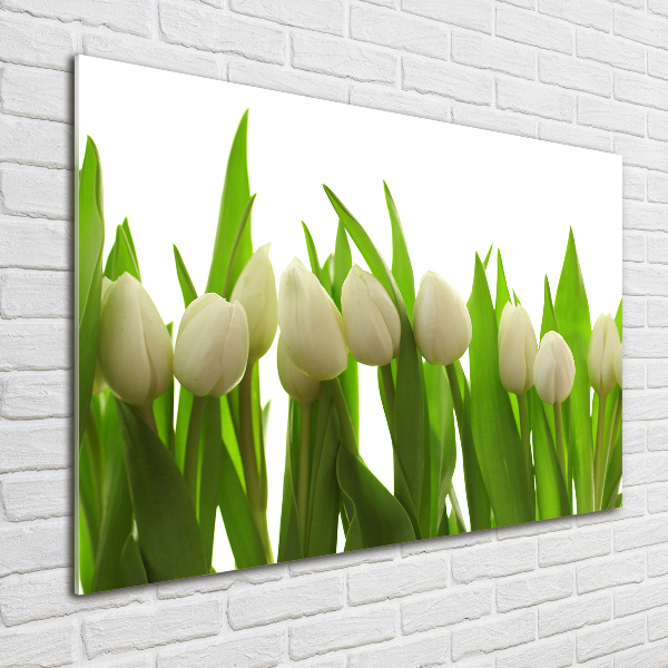 Bild auf Acrylglas Weiße Tulpen