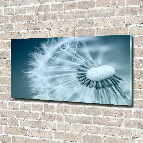 Acrylglas-Druck Löwenzahn