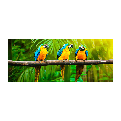 Foto auf Acryl Papageien auf einem Ast