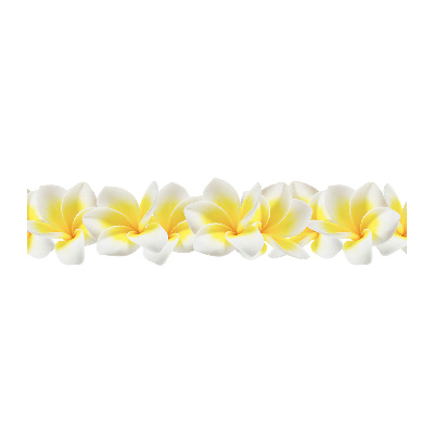 Acrylglas-Druck Plumeria