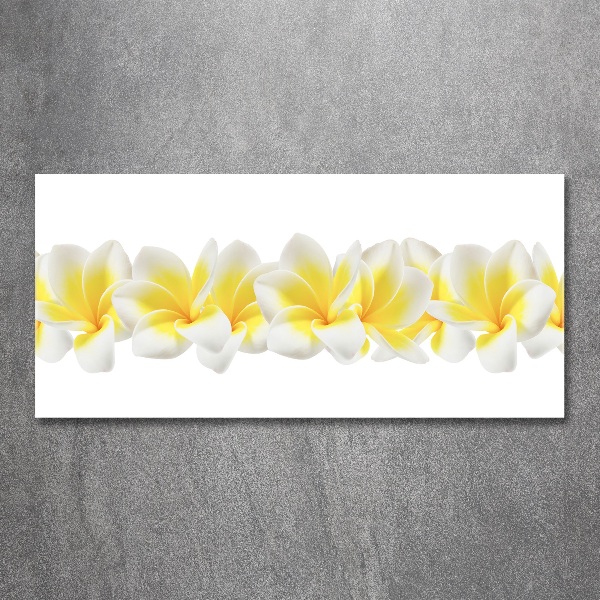 Acrylglas-Druck Plumeria