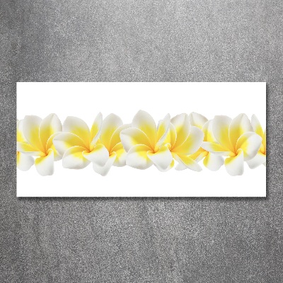Acrylglas-Druck Plumeria