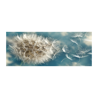 Foto auf Acryl Löwenzahn