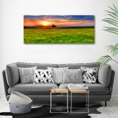 Acrylbild Fotodruck Sonnenuntergangswiese