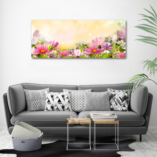 Acrylbild Fotodruck Mohnblumen
