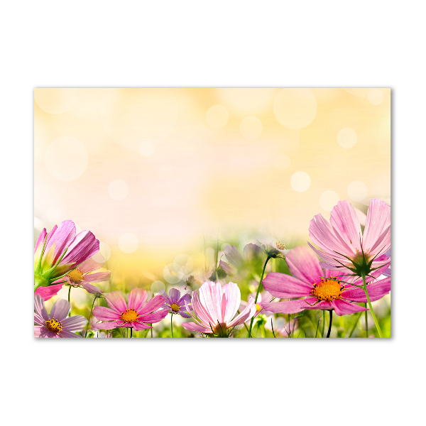 Acrylbild Fotodruck Mohnblumen