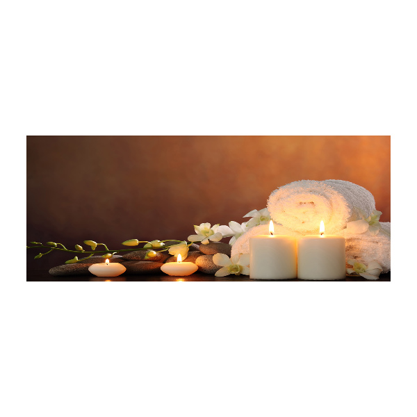 Acrylbild Fotodruck Biologische Regeneration