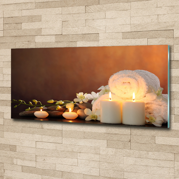 Acrylbild Fotodruck Biologische Regeneration