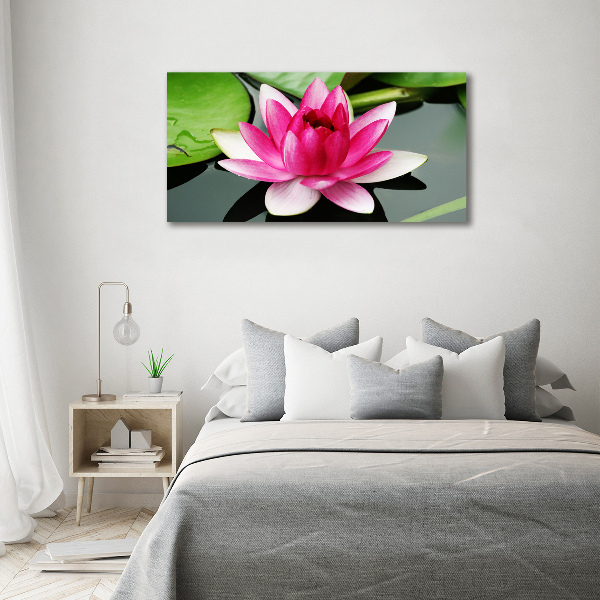 Foto auf Acryl Seerose