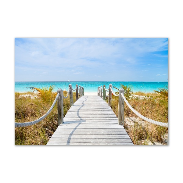 Acrylglas-Druck Weg am Meer