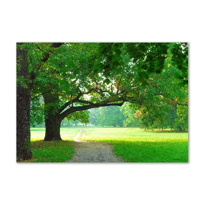 Bild auf Acrylglas Park im Herbst