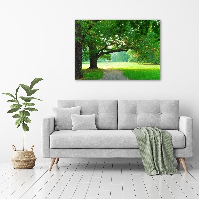 Bild auf Acrylglas Park im Herbst