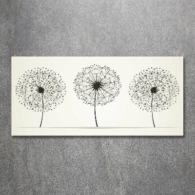 Bild auf Acrylglas Löwenzahn