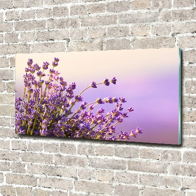 Acrylglas-Druck Lavendel