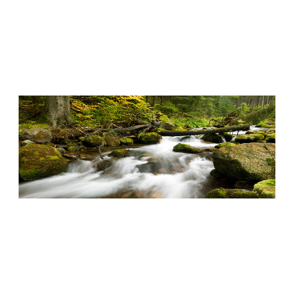 Bild auf Acrylglas Olczyski-Bach