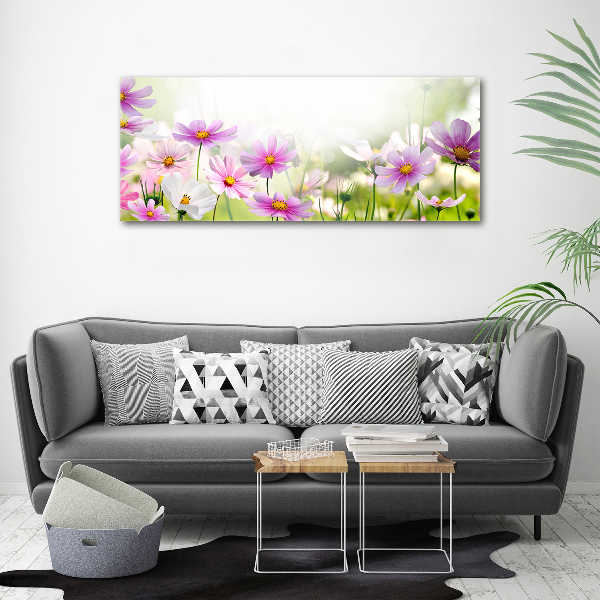 Foto auf Acryl Blumen auf der Wiese