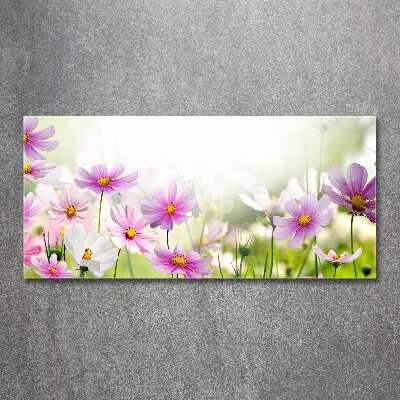 Foto auf Acryl Blumen auf der Wiese