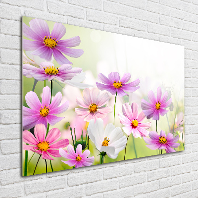 Foto auf Acryl Blumen auf der Wiese
