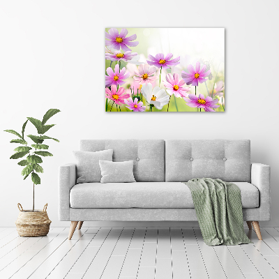 Foto auf Acryl Blumen auf der Wiese