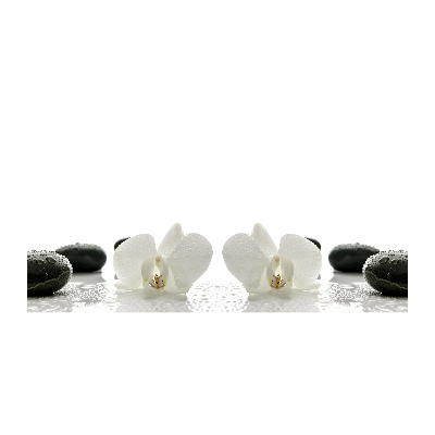 Bild auf Acrylglas Orchidee