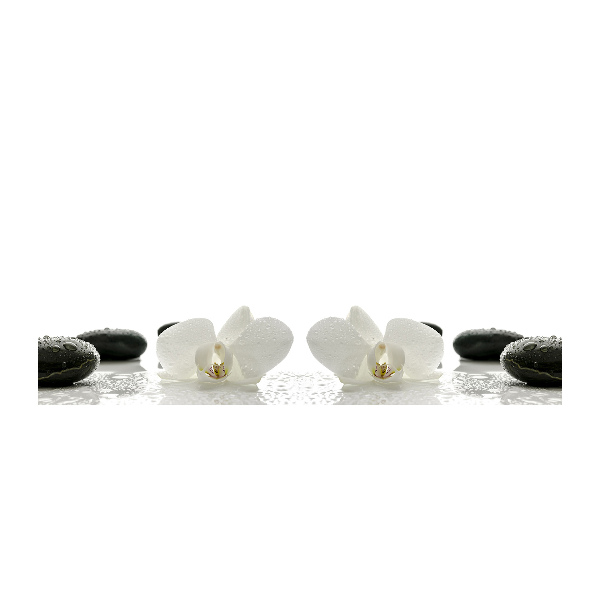 Bild auf Acrylglas Orchidee