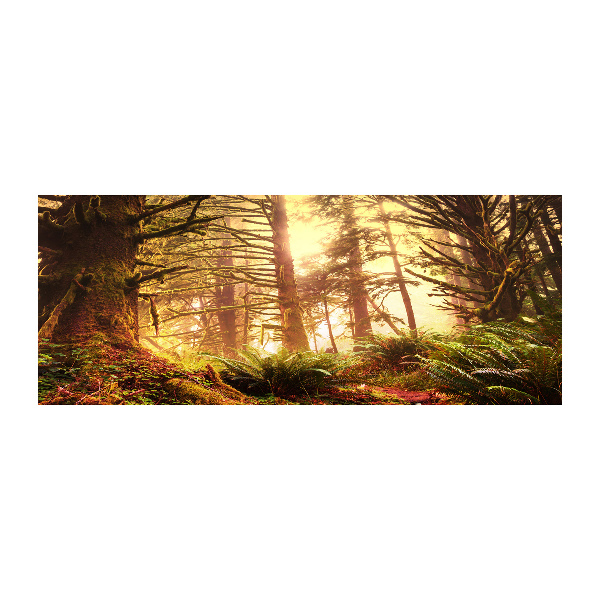 Acrylglas-Druck Regenwald