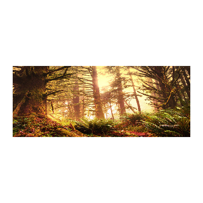 Acrylglas-Druck Regenwald