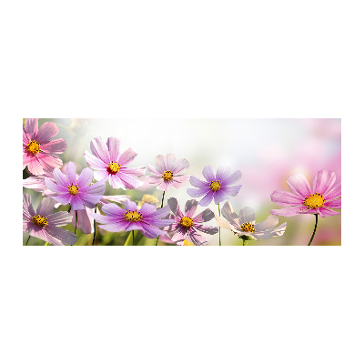 Acrylglas-Druck Blumen auf der Wiese