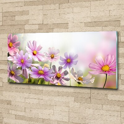 Acrylglas-Druck Blumen auf der Wiese