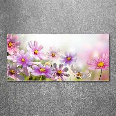 Acrylglas-Druck Blumen auf der Wiese